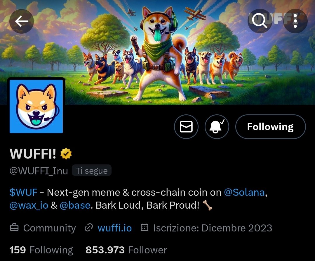 Maybe I'm too much FAN of @WUFFI_Inu, but having the follow back from a project from THIS HUGE size makes me feel just... Doging like a $WUF #likeaboss