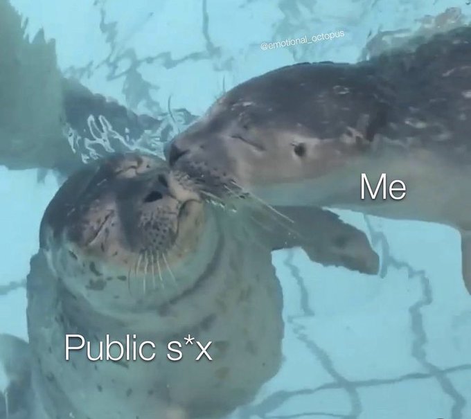 https://t.co/0Eq381uqPK