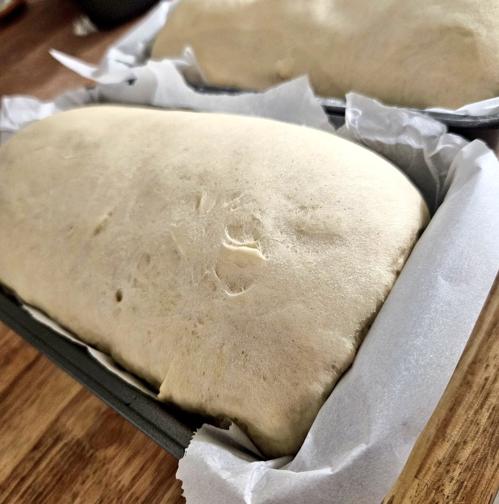 For me, being creative includes baking.

Very proud of the rise on this loaf. 
Time to go into the oven! 🍞

#SundayBrunch