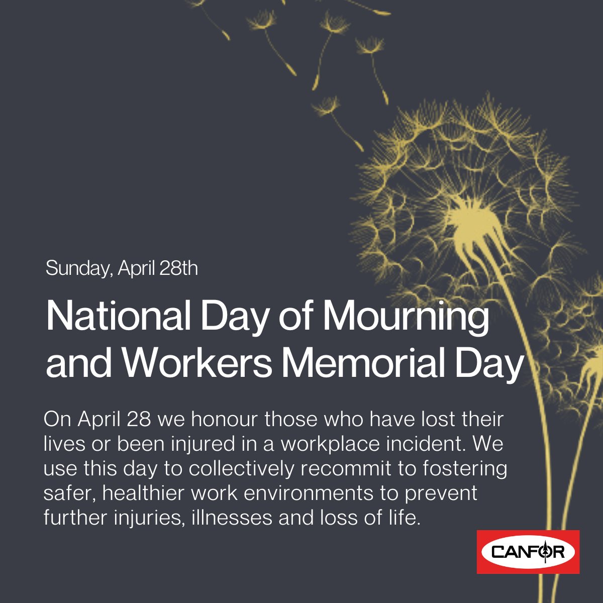 Join us in observing the National Day of Mourning in Canada and Workers Memorial Day in the US. At Canfor, we’re committed to our core value “Safety Comes First.” We lower our flags to half-mast to honour this day and invite you to join us in a moment of silence this Sunday at 11