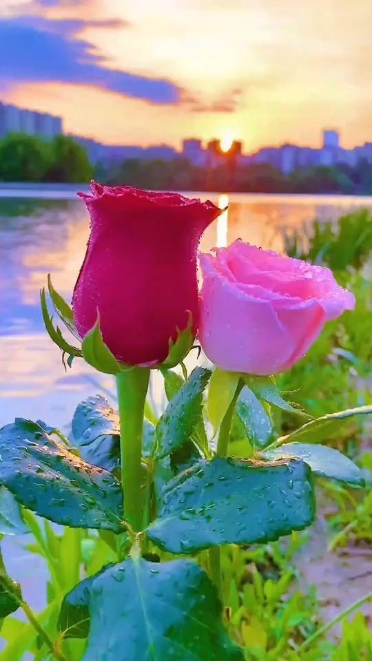 جھانکنے کی بہترین جگہ اپنا گریبان 
اور 
رہنے کی بہترین جگہ اپنی اوقات ھے 
دوستوں آپ کی کیا رائے ھے🤔😕🤔😕