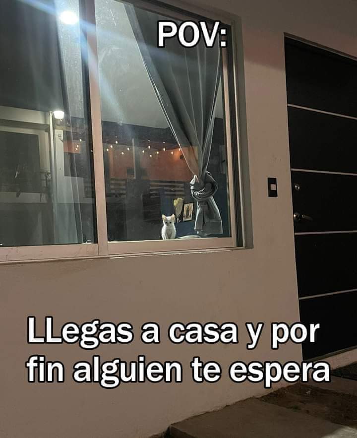 En Júpiter (@en_jupiter_) on Twitter photo 