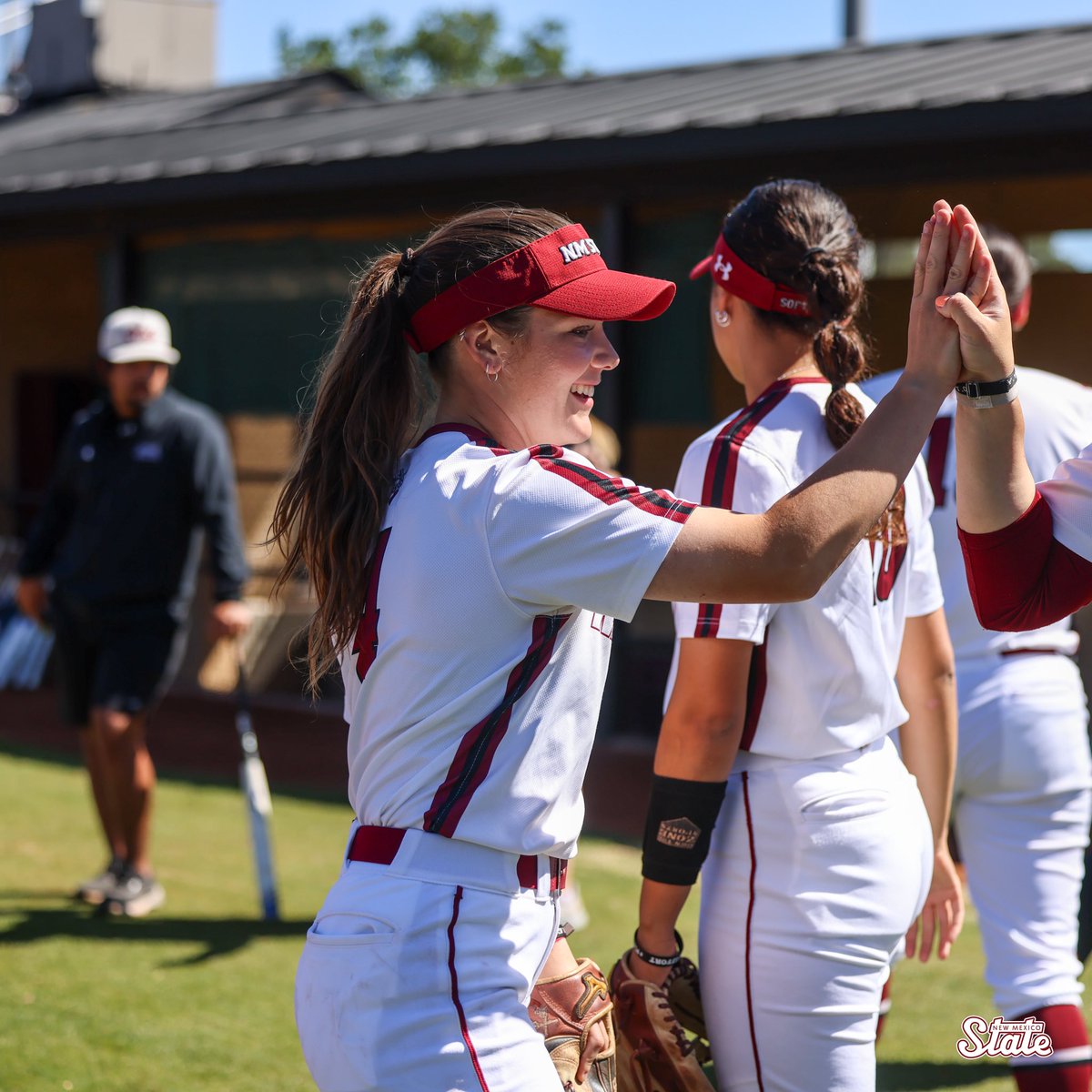 NMStateSoftball tweet picture