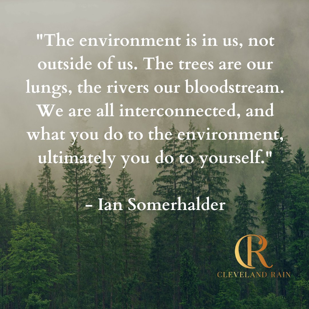 'The environment is in us, not outside of us. The trees are our lungs, the rivers our bloodstream. We are all interconnected, and what you do to the environment, ultimately you do to yourself.' - Ian Somerhalder