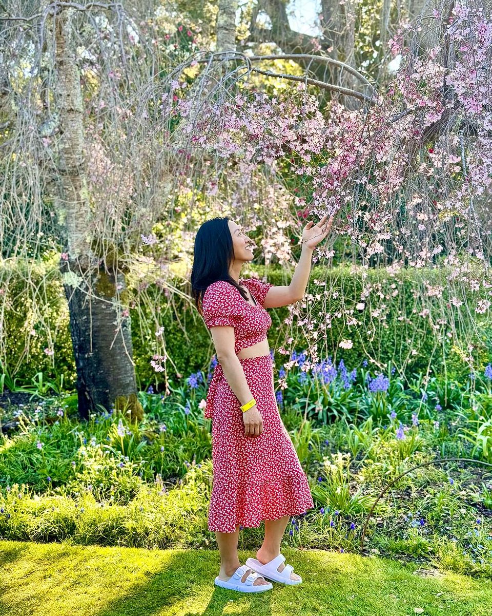 Let Filoli be your spring thing 🌸 Roam through the spring Garden filled with cherry blossoms, colorful potted pansies, and other pollinators. Weekend sellouts expected! Advanced reservation required. Check out filoli.org/visit Photo by: Yingtao (@yingtaoadventures on IG)
