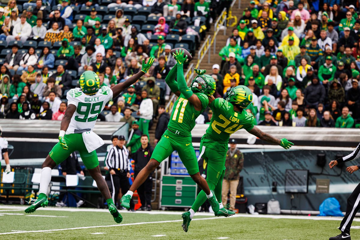 Max Torres tweet media