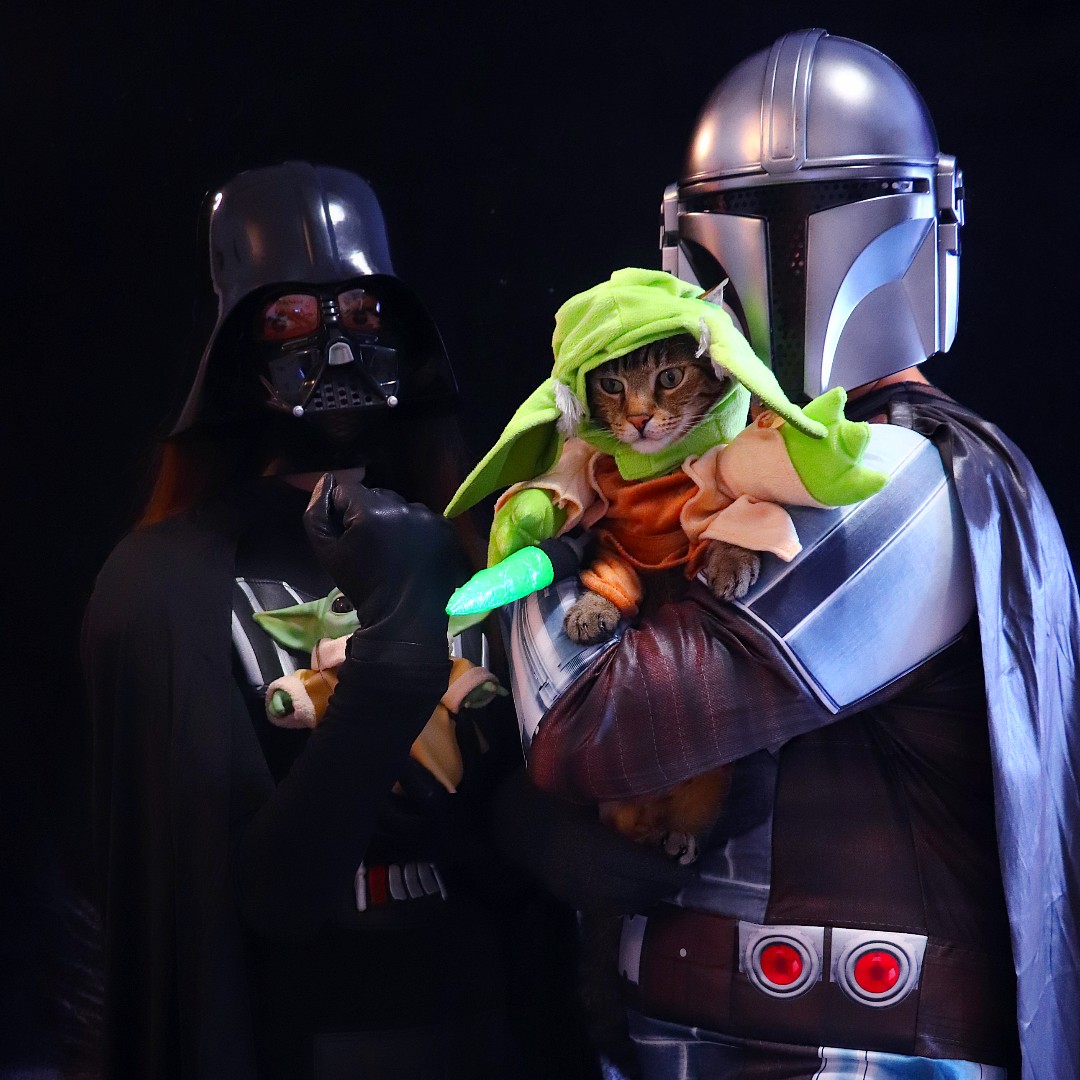 Tell 'em, 'Yoda one!' From convention season to Mother's Day, remind your pet how important they are to you and include them in your costume fun with everything from Star Wars pet costumes that match yours to collars that let ya connect over the fandom!🔽 bit.ly/2mNudrE
