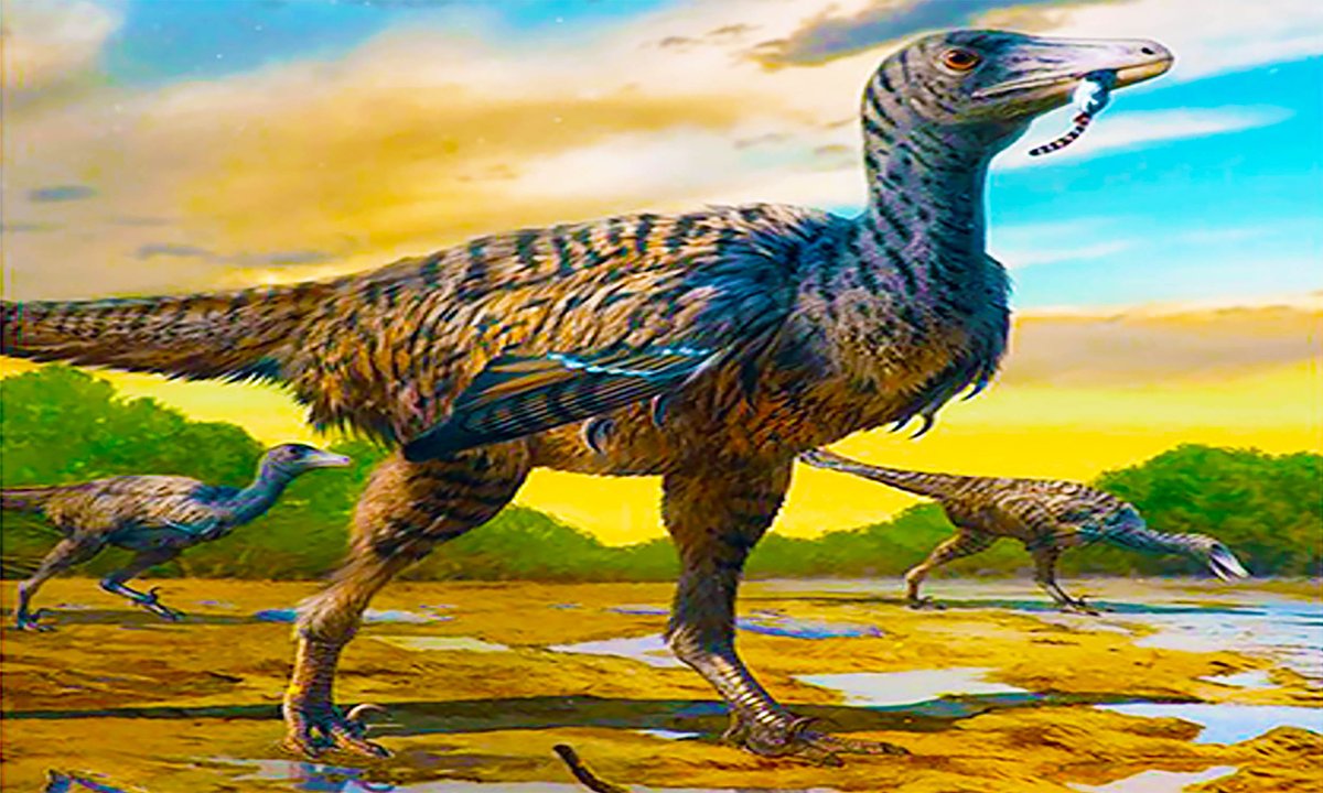 ‘Megaraptor’ dinosaur named Fujianipus yingliangi discovered in China: The footprints reveal a completely new 'megaraptor' species, named Fujianipus yingliangi, significantly larger than the familiar pop-culture… earth.com/news/megarapto… #EarthDotCom #EarthSnap #Earth