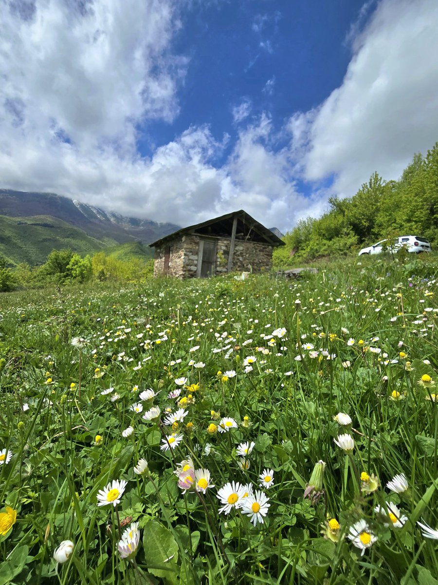 ☘️The value of our destination 🌟 is pristine nature 🏞🏕❤️
°
#visitpeja #pejatourism #peja #kosova #visitkosova #nature #naturekosova #travelkosovo #travelpeja #outdoor #naturelovers #adventure #tourism #ruralpeja #greenpeja #greenandvitalcity