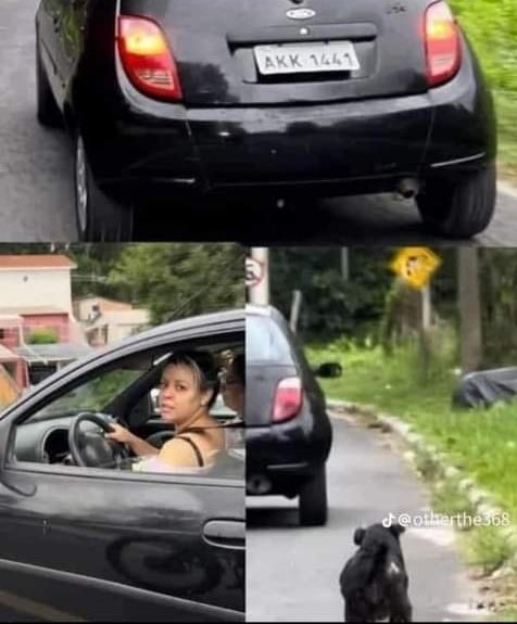 Esta mujer abandonó a su perro en la calle.