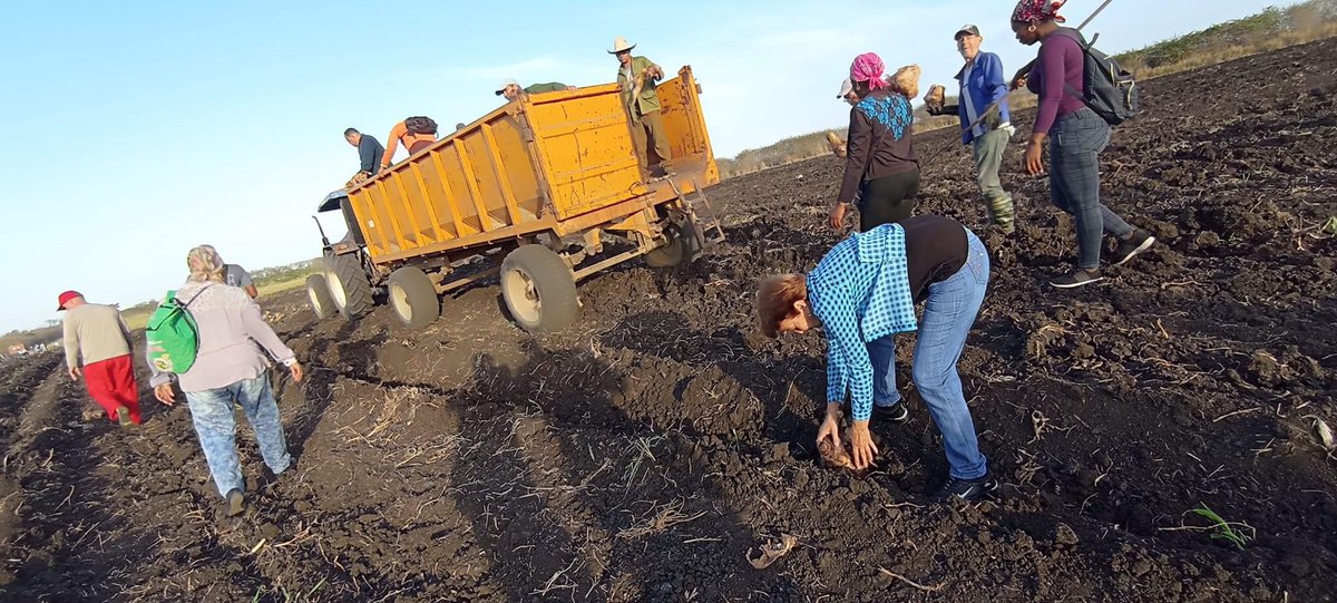 Jorge Sutil S (@jorgesutil2) on Twitter photo Desde el Camagüey legendario domingo productivo en saludo al 1ro de mayo. Desde el Camagüey legendario domingo productivo en saludo al 1ro de mayo.