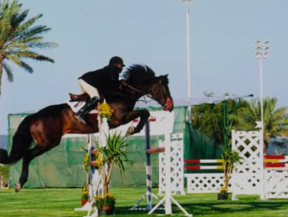 The tournament was held over four days under the patronage of the President, Abdelfattah Al Sisi, at the Equestrian Club in the Egypt International Olympic Games City in the New Administrative Capital.

#Egypt #AMEC2024 | #البطولة_العربية_العسكرية_للفروسية  #السيسي #تحيا_مصر