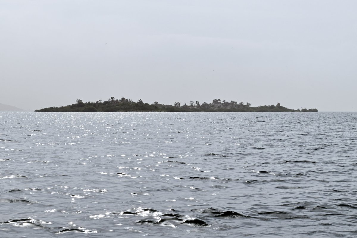 Menet Island on Lake Bafa is not only uninhabited - no visitors are allowed on the island.