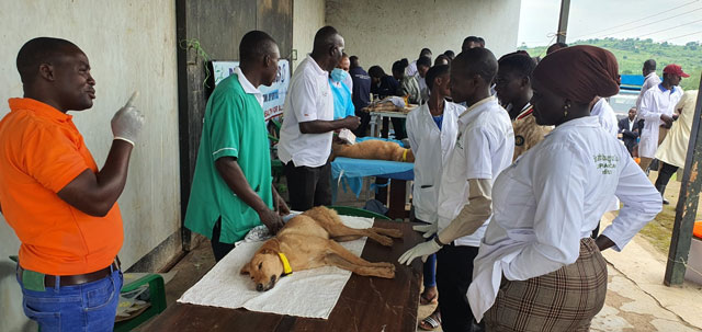 PICTORIAL: World Veterinary Day 2024 celebrations in Rakai, Uganda ugandavetassociation.org/pictorial-worl…