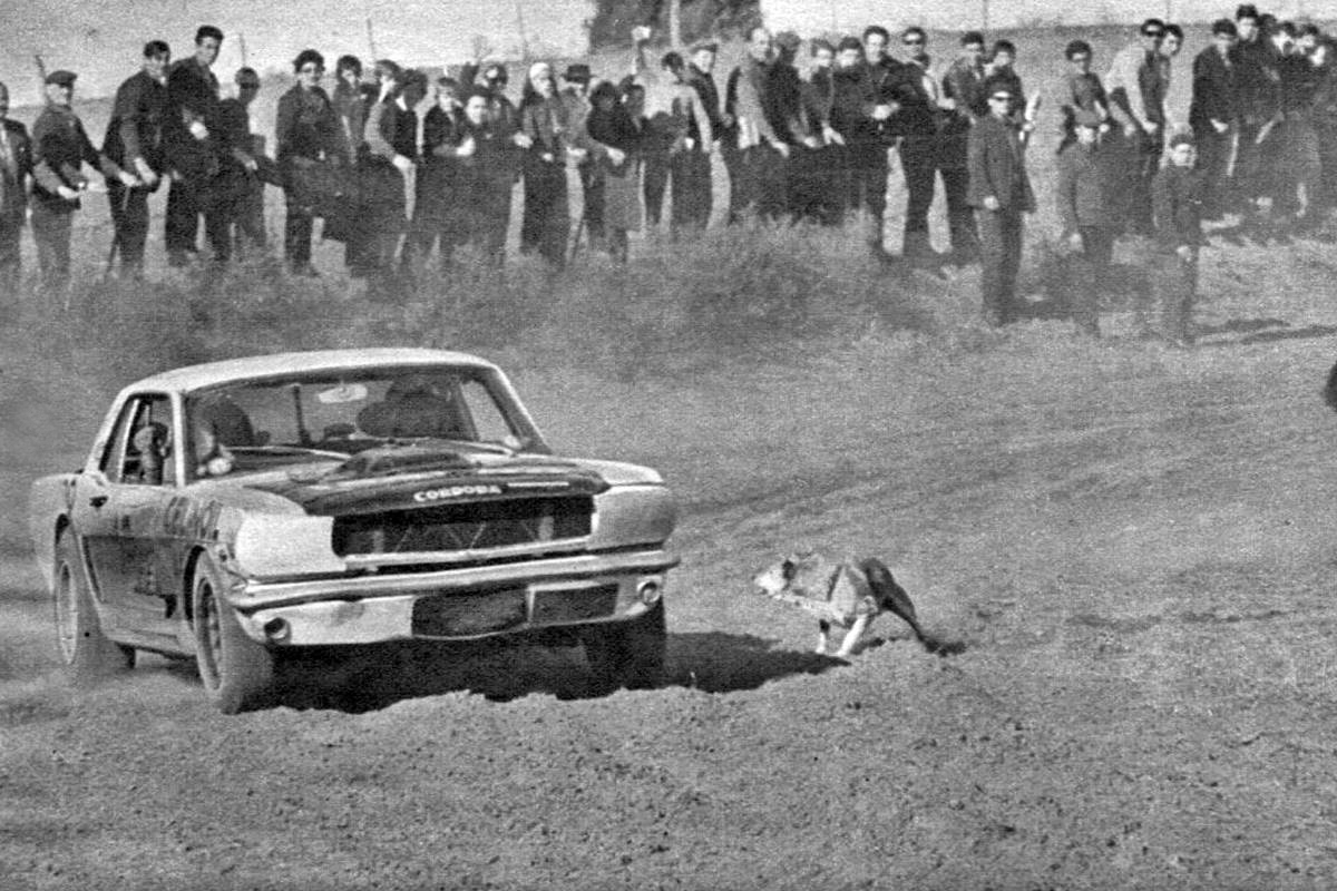 Diego Durruty tweet media