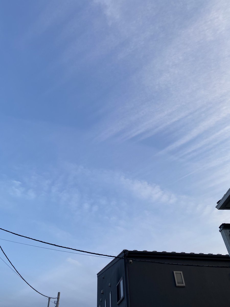 affection_pine's tweet photo. 琥珀ちゃん、28日18時にお空に帰りました。
昨日までお天気悪かったのに今日は綺麗に晴れました、さすが琥珀さん。
お骨も崩れる事なくきれいに戻ってきました。
13年間大病をせず健やかに過ごしてきた証拠だと言われました。
ウンチも残っていたので老衰、大往生されたと思いますと。 https://t.co/vPA3CUnfEQ