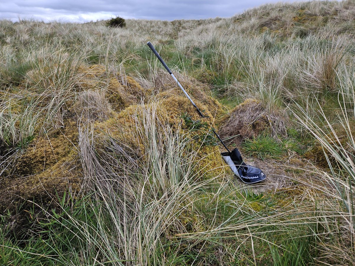 mfarquharson73's tweet photo. Ireland 2024 round 6 at Rosapenna Sandy Hills.  Surprisingly scenic and fun.  The moss in the dunes can get rather deep (driver for scale). https://t.co/V9O2K7AS45