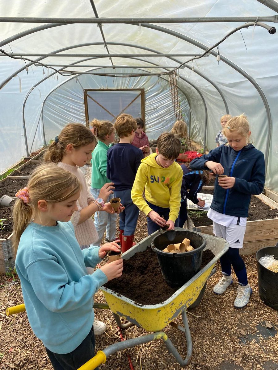 Bedales Prep ODW tweet media