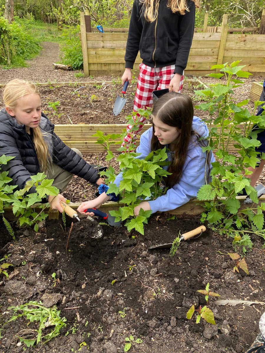 Bedales Prep ODW tweet media