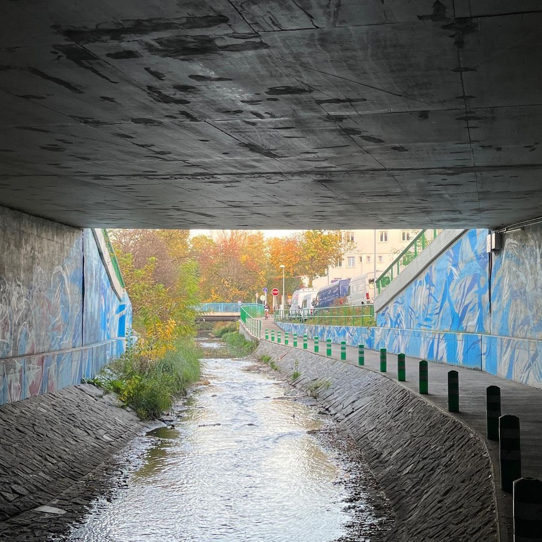 StreetArt_Praha's tweet photo. The @streetart_cz archives 💾
Petar Introvič by @DavidStrauzz 
🌊 by DOMINO
📸 17.10.2022.
📍 Praha, Cyklo prostup 🚴 Rokytka, Čuprova
#davidstrauzz #domino #mafietuns #petarintrovic #streetartpraha #streetart #streetartczechia https://t.co/wZsyX0DuFZ