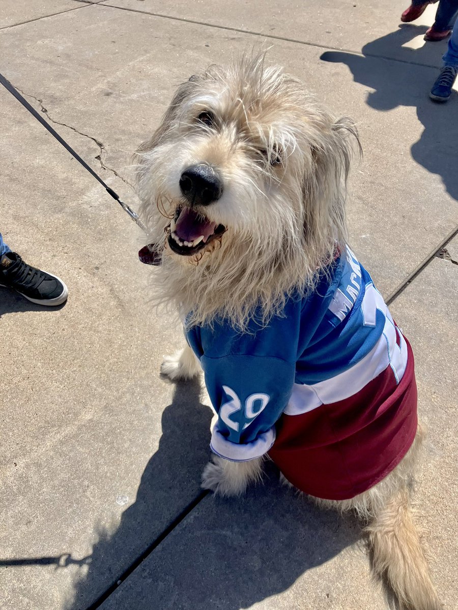 Found this guy outside! He’s got that DAWG in him! #NateDogg #GoAvsGo