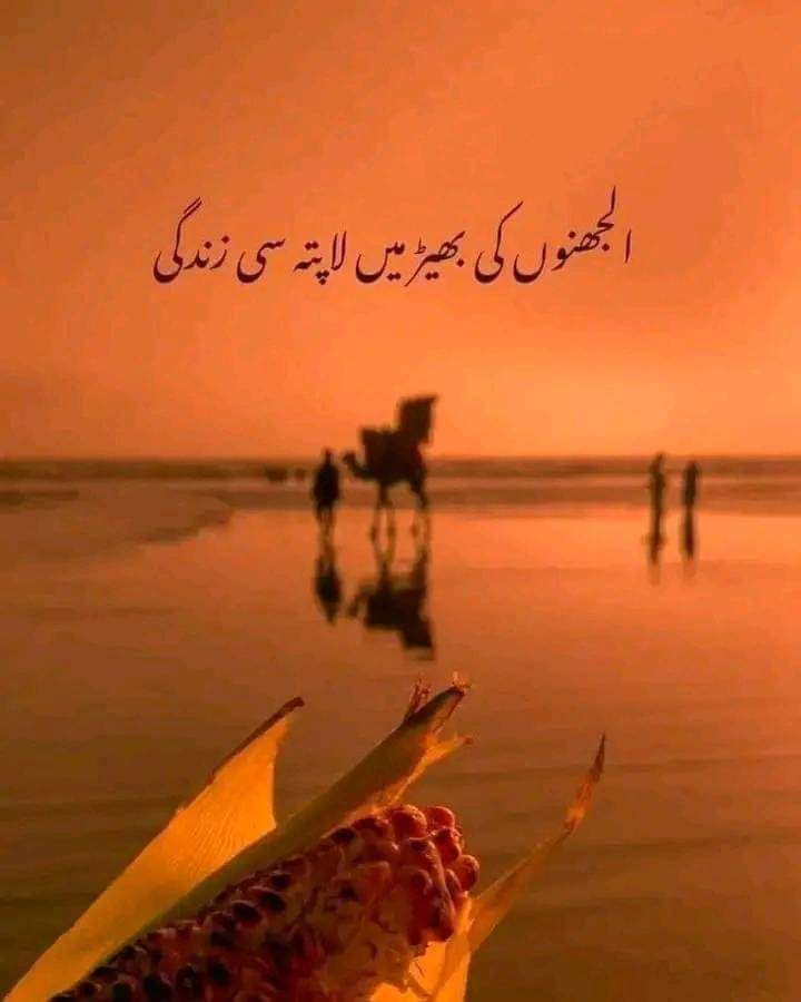 *کوئی اینج دی نگری دس مینوں* 
*جتھے جیون دا اعتبار ملے*
*جتھے لوک منافق نہ هوون*
*جتھے کوئی مخلص غم خوار ملے*
*جتھے دل دے بدلے دل دیون*
*جتھے پیار دے بدلے پیار ملے*