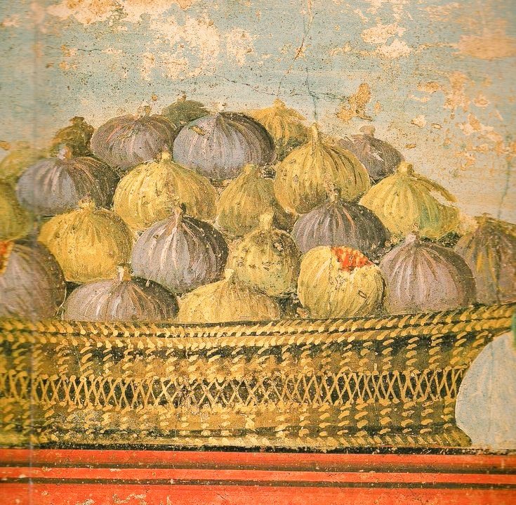 Figs basket / Pompeii fresco/ ancient roman #art