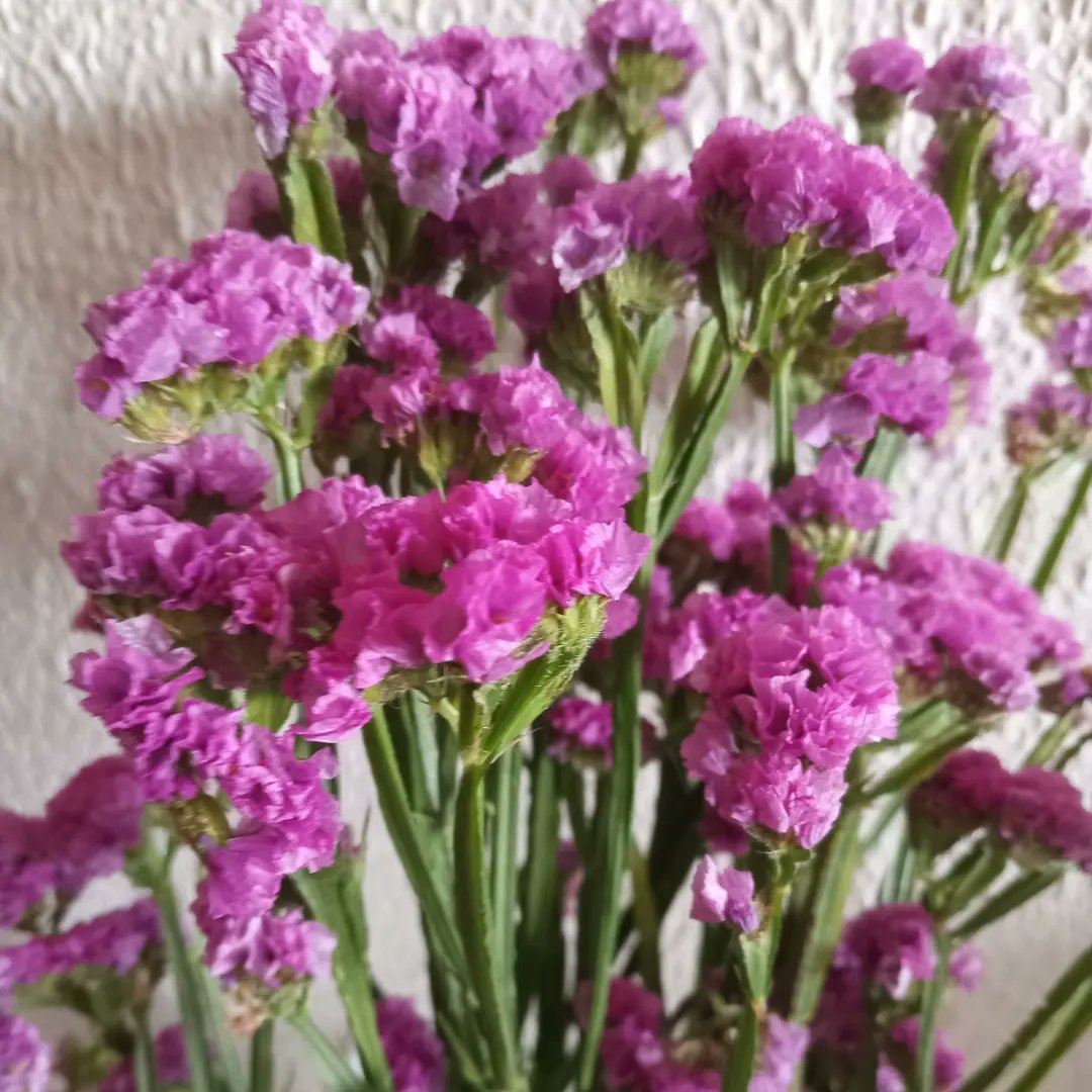 Flowers for holiday. 
#Happyholidays
#Passover 
#Israel