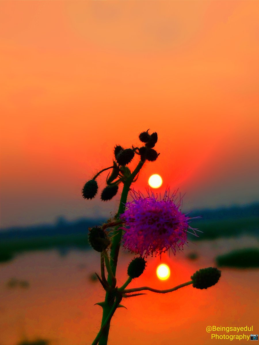 Good night 🌅 Magical Sunsets view from India🇮🇳 From where you are seeing my post?