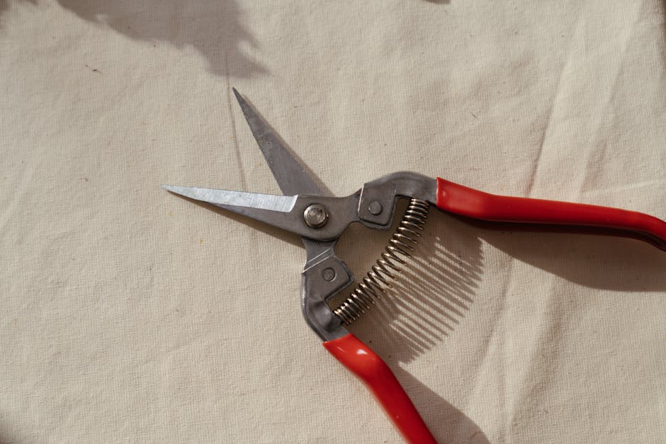 Always use sharp, clean tools to make precise cuts just above a bud or lateral branch. This promotes healthy regrowth and reduces the risk of disease transmission. Happy pruning! 🌿✂️ 

#PruningTips #GardeningAdvice #GreenThumb