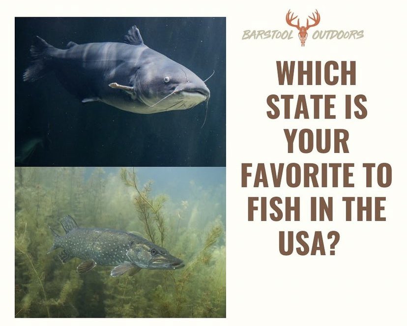 50 to choose from… what’s your favorite state to fish in?