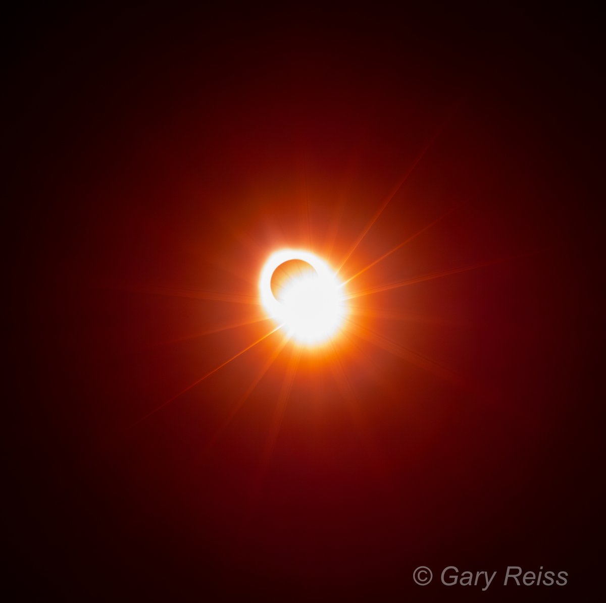 GaryReissPhoto's tweet photo. Eclipse 2024 - Carbondale, IL
#solareclipse #solareclipse2024 #carbondaleeclipse #carbondaleeclipse2024 #illinoiseclipse #illinoiseclipse2024 #eclipsesolar #totaleclipse2024 #totaleclipse #diamondeclipse #siu #southernillinoisuniversity #garyreissphotography #garyreiss #nikonusa https://t.co/TY6UVhEhPm