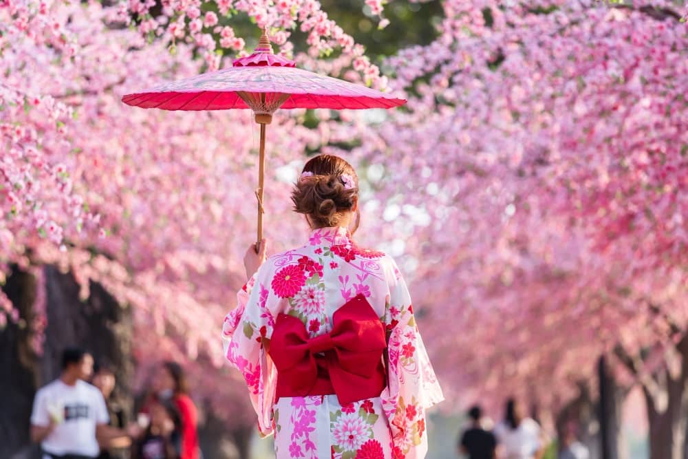 Cherry Blossom Festival

#Japan #Travel #japanese #Wanderlust #sundayvibes #SundayFunday #JapanTravel #asia #unitedkingdom #blvs #bluelotusvacationsuk #destinations #vacation #holiday #streetwalker #summertimesaga #SAKURA #cherryblossoms