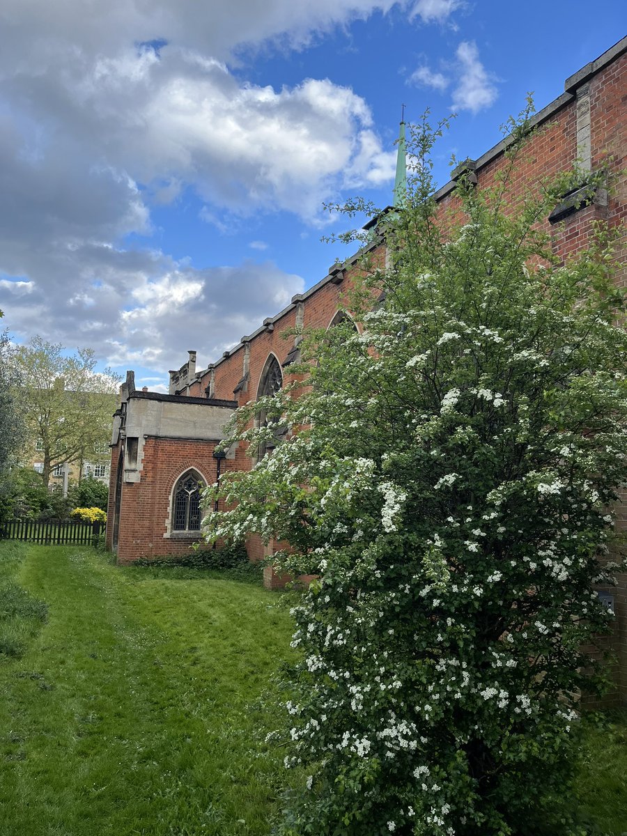 Ian Tattum tweet media