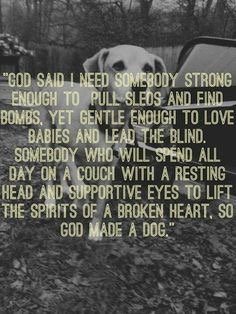 Just love. #dogsarelove