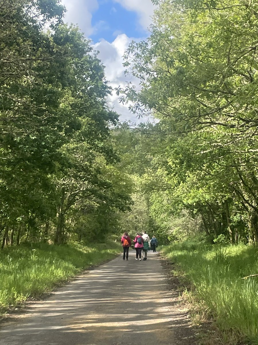 roslufe's tweet photo. A Gran Peregrinación. Reivindicando o “Camiño San Rosendo e  Rainha Santa” como ruta Xacobea. Oito Concellos camiñando ata @turismocelanova. @DeputacionOU @InordeOurense @CelanovaXures @Xunta @concelloamerca https://t.co/49Je6mzl9O