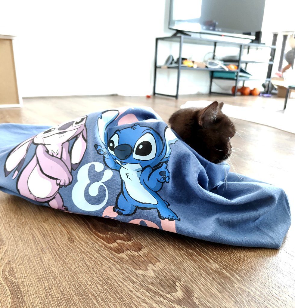 Why is it so cold? Why?! It's end of April and we are in blankets, and it is still cold!!! Well I am in blanket, Lizzie is using the new shopping bag... How is @RolfatWarwick keeping warm??!!