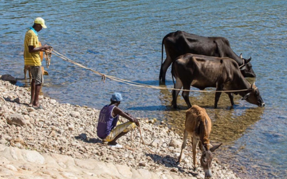 Reflecting on the @WorldBank's call to action a year ago: addressing Latin America's water challenges for millions without safe water and sanitation. Explore our journey ever since in our latest blog ➡️ wrld.bg/nrcN50RmjZq