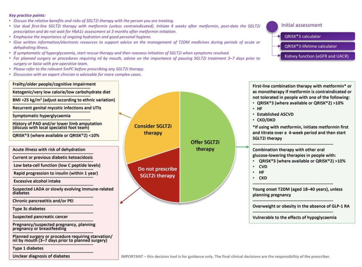 SGLT2i therapy should be offered to people withT2dm (green) ,should be considered (amber) ,should not be prescribed (red) #diabetes