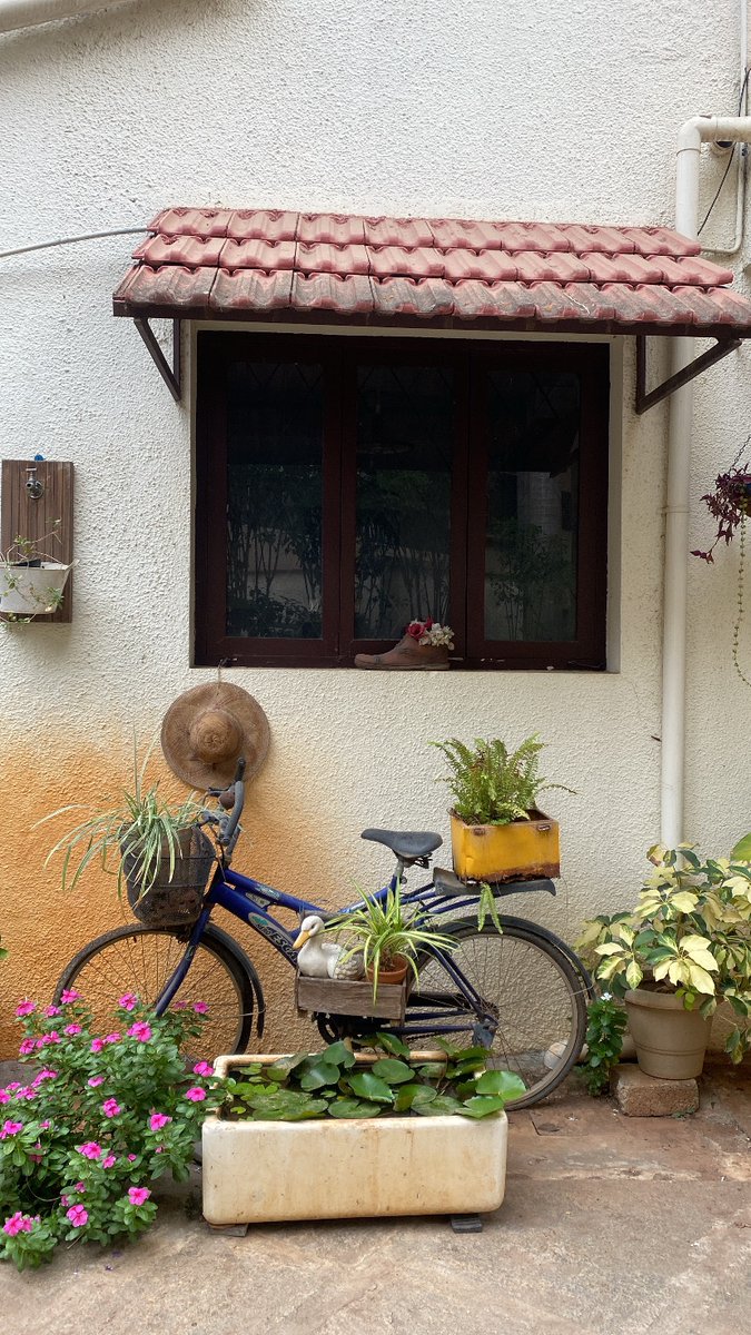 Fount this hidden gem in Bengaluru 💚 

if i were to ever retire, i would want to own a cafe like this 🤌🏻

delightful, quiet, cute, cozy, just beautiful 🎀