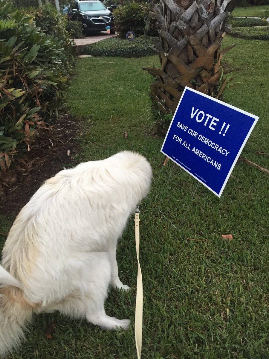 My democracy hating good boy