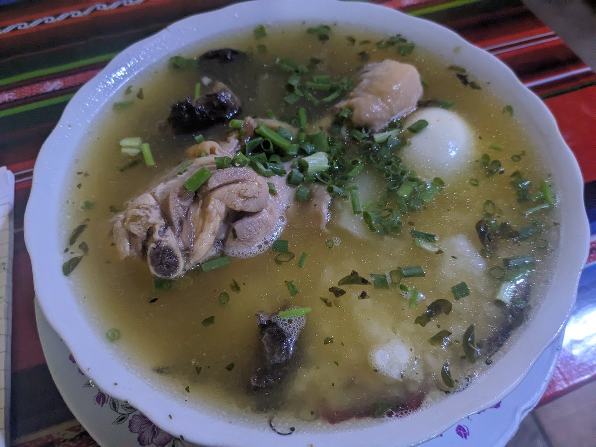 ボリビアで揚げ物に飽きた？
なら、carlo de pollo（カルロデポリョ？）鶏のスープに中にはおかゆが入ってる。

シンプルなお味でよき。15ボリ（330円）