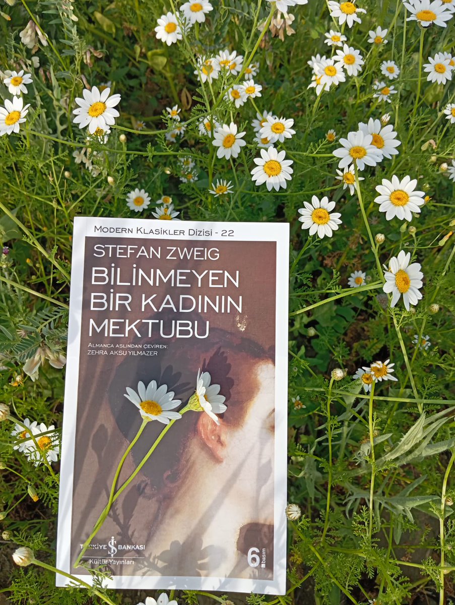 Ama ne anlamı var ki bir tabutun üstündeki çiçeklerin ?

#Stefanzweıg📖