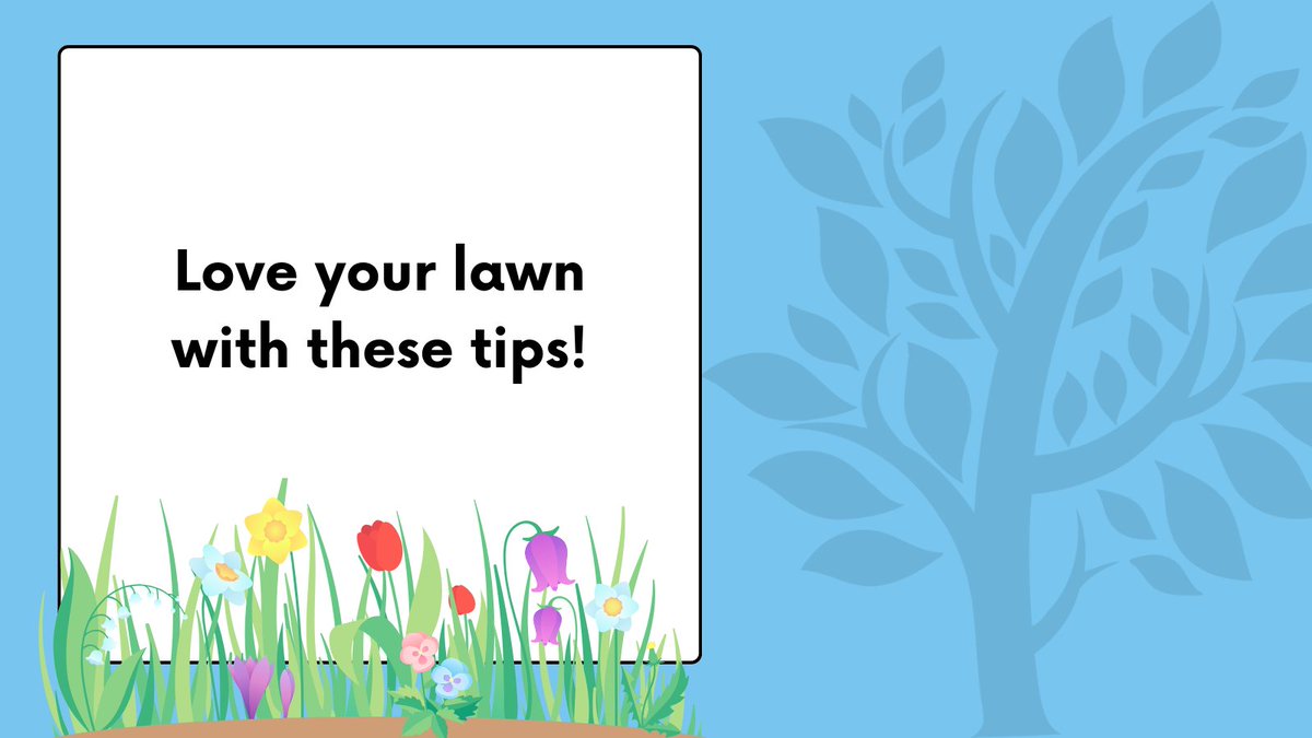 Your green dream is within reach with our guide to transform your lawn with less fertilizer, less money, and less work! With a few key tips, you can achieve the lawn of your dreams, all while bettering the environment around you. Learn more at bit.ly/3UdwJDd.