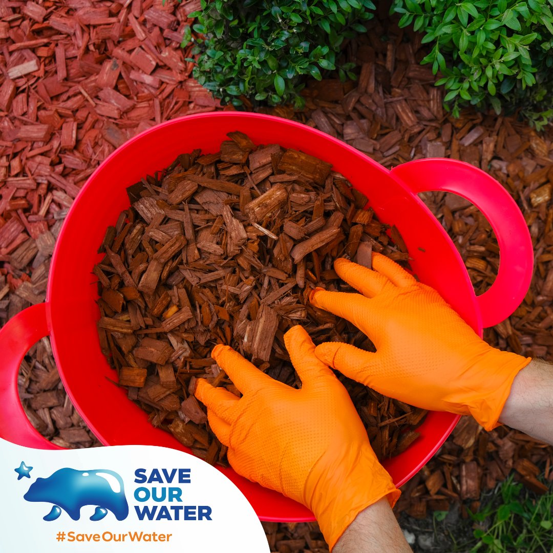 Sprucing up your garden? Remember, a little mulch goes a long way in keeping your soil moist and enriched! 🪴 

Saveourwater.com
#SaveOurWater #WaterWise #California