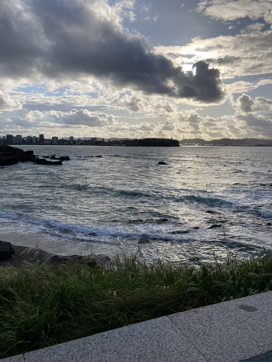 Pablo Palomo tweet media