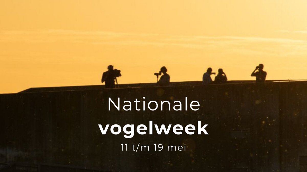 Van 11 tot 19 mei is het Nationale Vogelweek. In het hele land worden vogelexcursies aangeboden. Ook wij doen mee aan deze week. Wil jij meer over vogels in je omgeving leren? Bekijk ons aanbod op: groningerlandschap.nl/activiteiten/e…