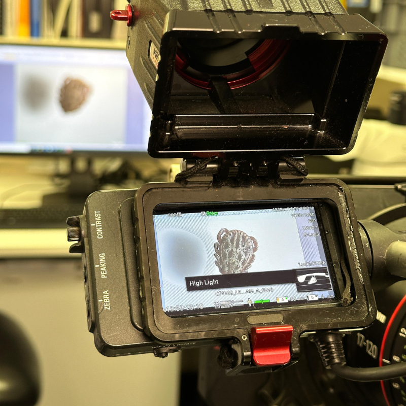 If you missed tonight's Countryfile, you can catch up now on <a href="/BBCiPlayer/">BBC iPlayer</a>. On the show, our Head of Medical Entomology talks about UKHSA's #tick surveillance scheme and some of the findings so far #BeTickAware

bbc.co.uk/programmes/m00…