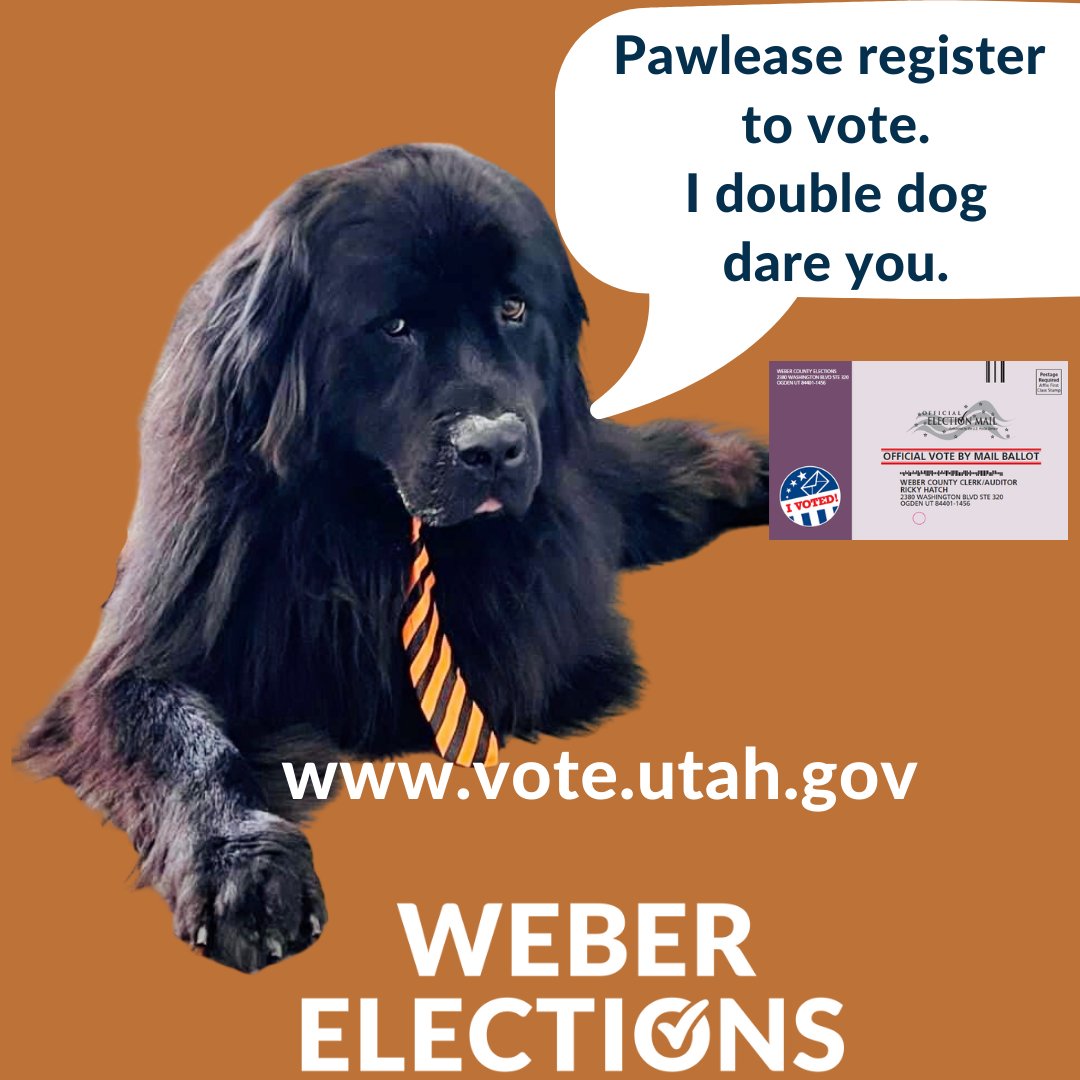 Pawlease register to vote: vote.utah.gov
I double dog dare you!
#weberelections #registertovote #utahvotesbymail #votebymail #dogmemes #dogs #elections #utah #utahelections #electionsutah