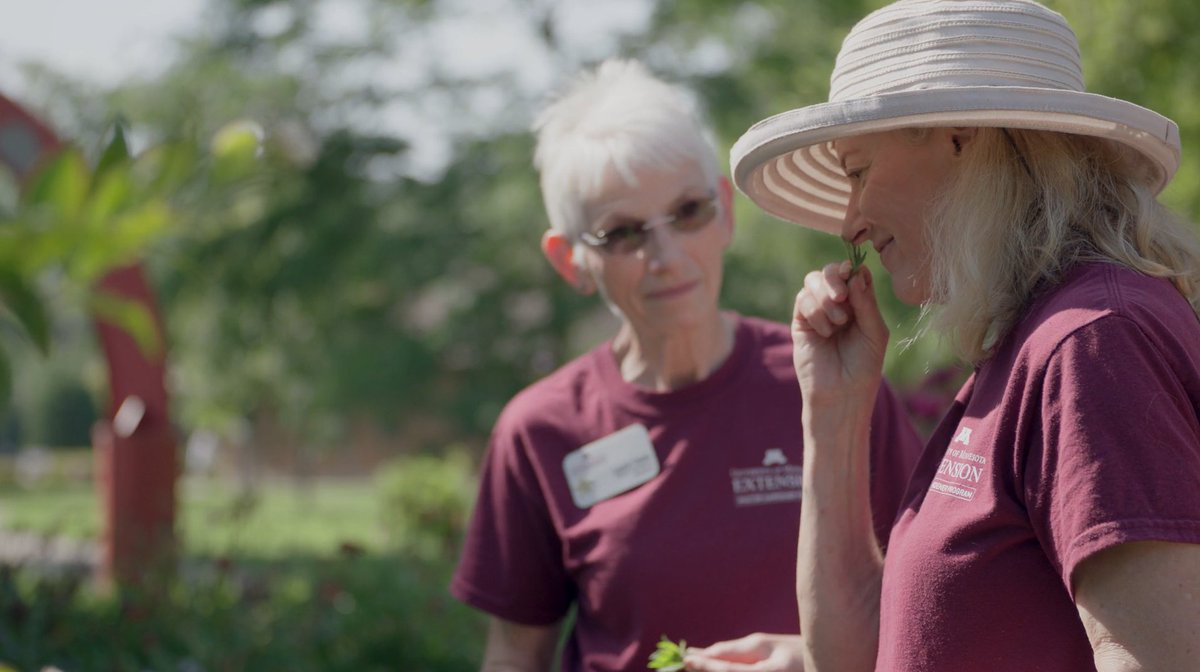 People are drawn into the discovery garden thanks to its bright colors. Visitors ask questions and conversations bloom. The discovery garden was built by Extension Master Gardeners with support of local businesses and the City of Red Wing.  z.umn.edu/MG-action